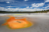 Unknown pool at Norris basin