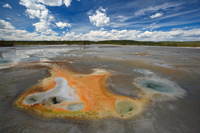 Unknown pool at Norris basin