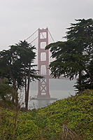 Again about the bridge in a fog.../    ...