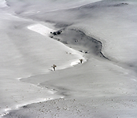 Spring in Montana-3.../  -3...