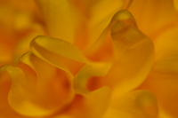 Macro-abstract-10.../--10...