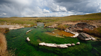 Spread out of green water.../  ...