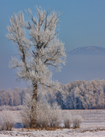 Snowy Montana.../ ...