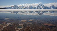 Teton mountains/ 